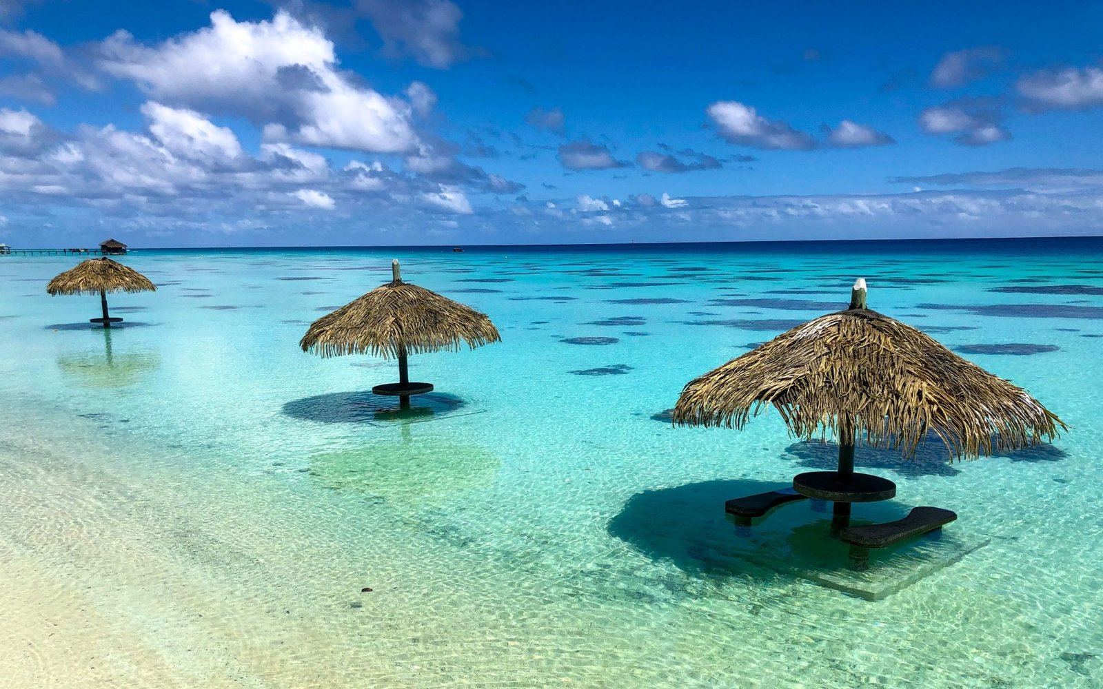 The Bahamas