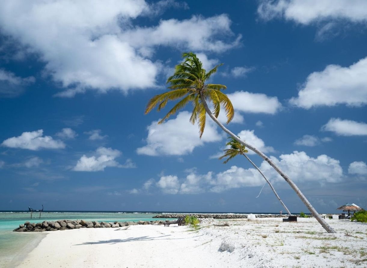 Carribean