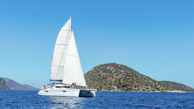 ZORBA CAT Exterior
